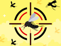 Agentes de Endemias poderão, por força de lei, autuar proprietários por recusa de ingresso nos imóveis