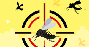 Agentes de Endemias poderão, por força de lei, autuar proprietários por recusa de ingresso nos imóveis