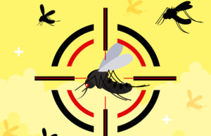 Agentes de Endemias poderão, por força de lei, autuar proprietários por recusa de ingresso nos imóveis