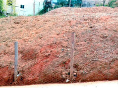 Departamento de Meio Ambiente realiza inspeção de lotes vagos. Centenas de proprietários já foram notificados