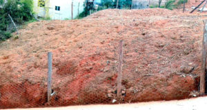 Departamento de Meio Ambiente realiza inspeção de lotes vagos. Centenas de proprietários já foram notificados