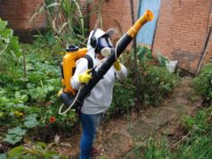 SES divulga situação da Dengue em Minas. Lafaiete intensifica ações de prevenção e combate