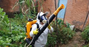 SES divulga situação da Dengue em Minas. Lafaiete intensifica ações de prevenção e combate