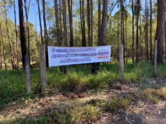 Parceria viabiliza limpeza de pista de caminhada