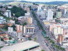 Prefeitura se pronuncia sobre a ”praga urbana” dos pombos