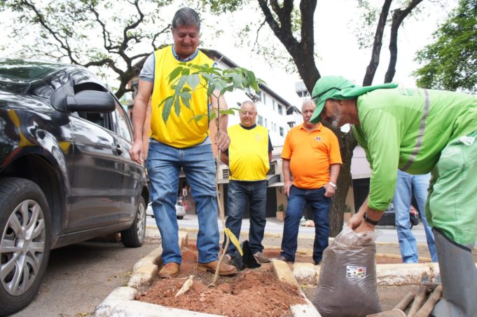 Com a chegada da primavera Avenida Telésforo Resende ganha novas árvores