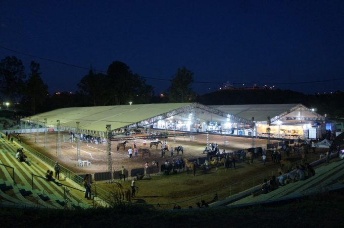 Começou no final de semana com muito sucesso a Exposição Nacional do Cavalo