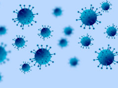 Nota do Comitê Extraordinário de Conselheiro Lafaiete COVID 19