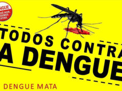 Agentes de endemias retornarão às atividades na próxima semana
