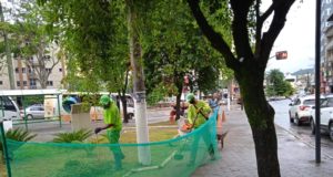 Serviço de capina e limpeza é realizado diariamente em Lafaiete