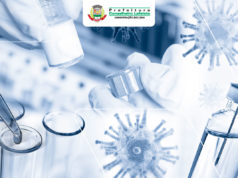 Covid 19: Cronograma de Vacinação e novas doses recebidas