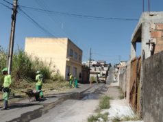 Secretaria de Obras mantém diariamente serviço de capina e limpeza das vias públicas