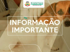 Lafaiete realizará a campanha de vacinação antirrábica de agosto a outubro, fique atento ao calendário