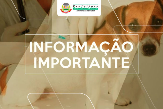 Lafaiete realizará a campanha de vacinação antirrábica de agosto a outubro, fique atento ao calendário