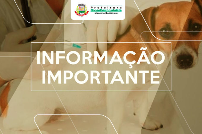 Lafaiete realizará a campanha de vacinação antirrábica de agosto a outubro, fique atento ao calendário