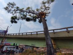 Departamento Municipal do Meio Ambiente realizará intervenção preventiva neste domingo, 24/10
