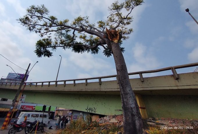 Departamento Municipal do Meio Ambiente realizará intervenção preventiva neste domingo, 24/10