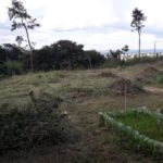 WhatsApp Image 2022-03-16 at 08.07.48