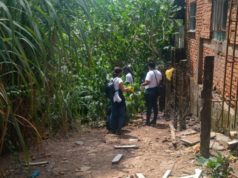 Secretaria da Saúde alerta para a importância do combate ao Aedes aegypti