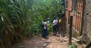 Secretaria da Saúde alerta para a importância do combate ao Aedes aegypti