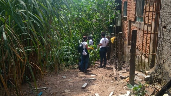 Secretaria da Saúde alerta para a importância do combate ao Aedes aegypti