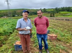 Secretaria Municipal de Desenvolvimento Econômico em parceria à EMATER, distribuem Kits de sementes de hortaliças a Produtores Rurais e Hortas Comunitárias