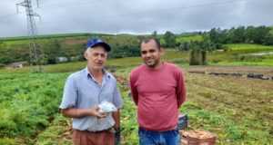 Secretaria Municipal de Desenvolvimento Econômico em parceria à EMATER, distribuem Kits de sementes de hortaliças a Produtores Rurais e Hortas Comunitárias