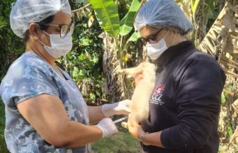 Vacinação antirrábica animal (cães e gatos) em localidades da Área Rural