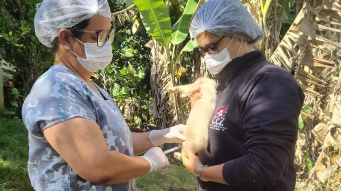 Vacinação antirrábica animal (cães e gatos) em localidades da Área Rural