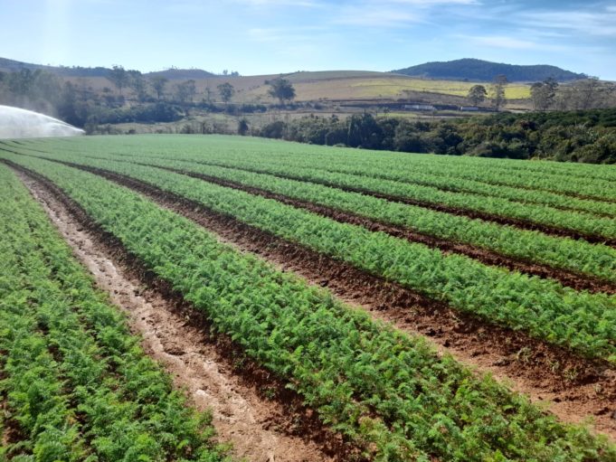 Una Conselheiro Lafaiete, Emater e Prefeitura Municipal de Conselheiro Lafaiete se unem em projeto para impulsionar avanços na agricultura local