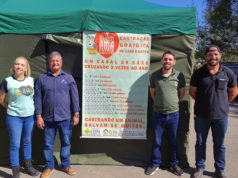 Lafaiete investe em castração de cães e gatos