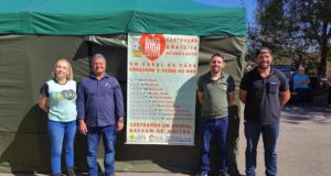 Lafaiete investe em castração de cães e gatos