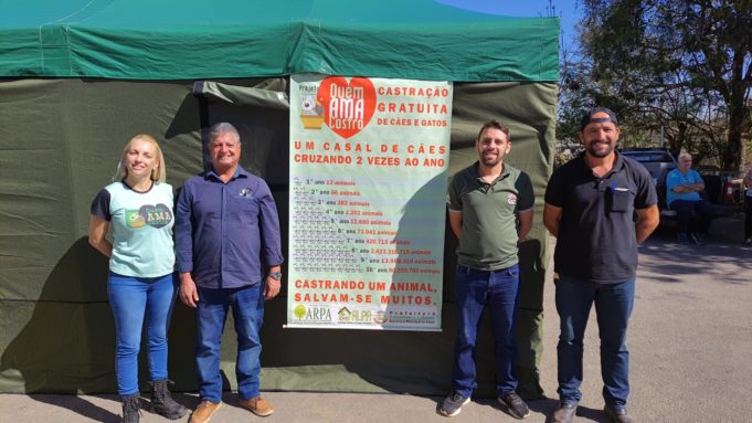 Lafaiete investe em castração de cães e gatos