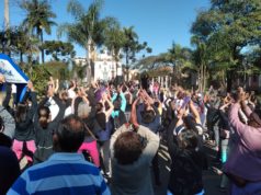 Ação Multiprofissional na Saúde: Promovendo o Bem-Estar e a Prevenção de Doenças