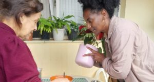 Combate à Dengue em Conselheiro Lafaiete apresenta resultados positivos, mas a mobilização da população é fundamental