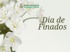 Informações sobre a Visitação no Cemitério Municipal Parque Vale do Ipê – Finados