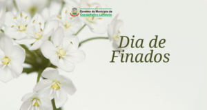 Informações sobre a Visitação no Cemitério Municipal Parque Vale do Ipê – Finados