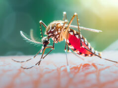 Campanha contra o mosquito transmissor da dengue, chikungunya e zika vírus