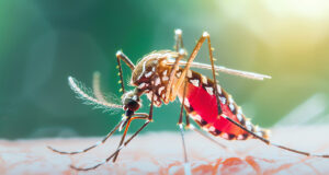 Campanha contra o mosquito transmissor da dengue, chikungunya e zika vírus