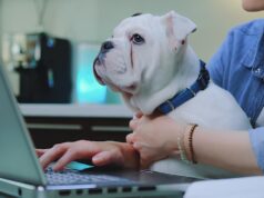 A Vigilância Ambiental solicita atualização dos e-mails das clínicas veterinárias e os médicos veterinários independentes