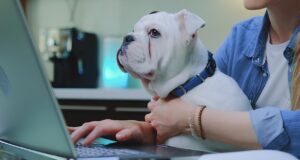 A Vigilância Ambiental solicita atualização dos e-mails das clínicas veterinárias e os médicos veterinários independentes