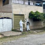 Imagem do WhatsApp de 2025-02-11 à(s) 13.33.12_fe8ca9f3