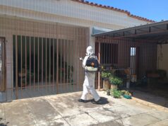 Agentes de Endemias: Conheça os outros serviços que vão além das visitas domiciliares