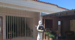 Agentes de Endemias: Conheça os outros serviços que vão além das visitas domiciliares