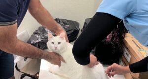 Boletim Final da Campanha de Vacinação Antirrábica 2025 – Conselheiro Lafaiete