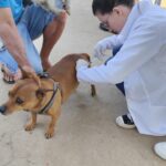 WhatsApp Image 2025-07-07 at 13.57.45 (1)