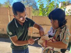 Vacinação Antirrábica no Município