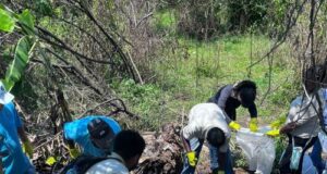 Intensificação no combate ao Aedes: mutirões de limpeza mobilizam bairros da cidade