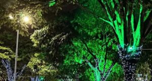 Natal Iluminado promete aquecer economia e atrair famílias