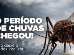 Chuvas exigem atenção contra o Aedes aegypti